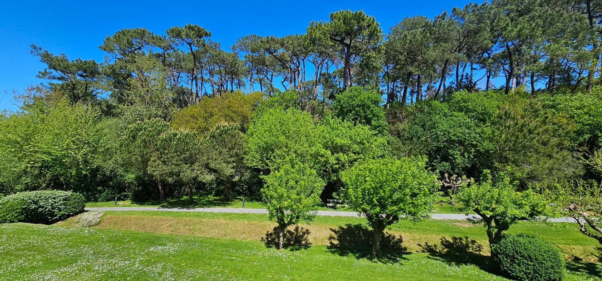 Appartement Olatua La Vague Votre Havre Basque A La Saint-Jean-de-Luz